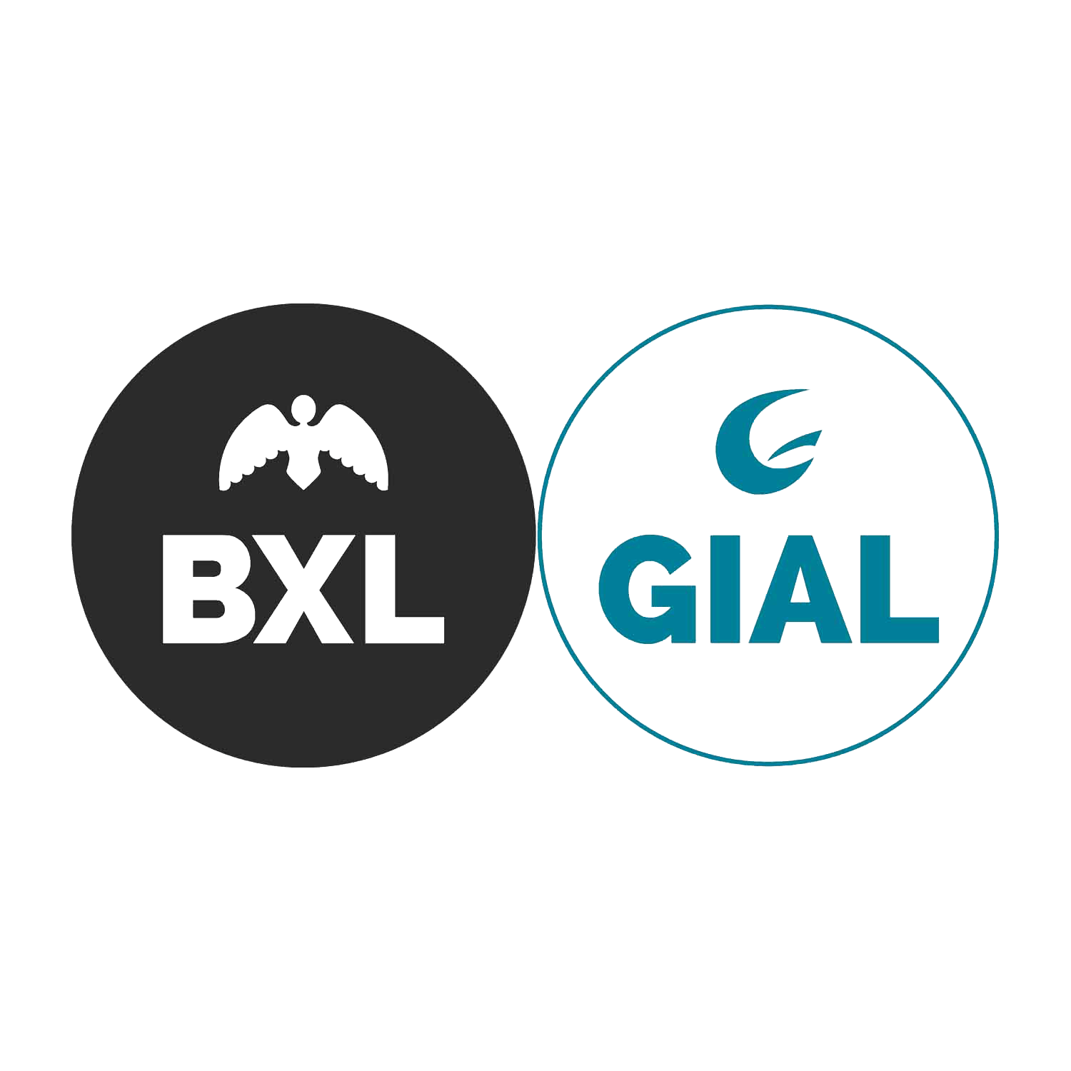 Logo GIAL