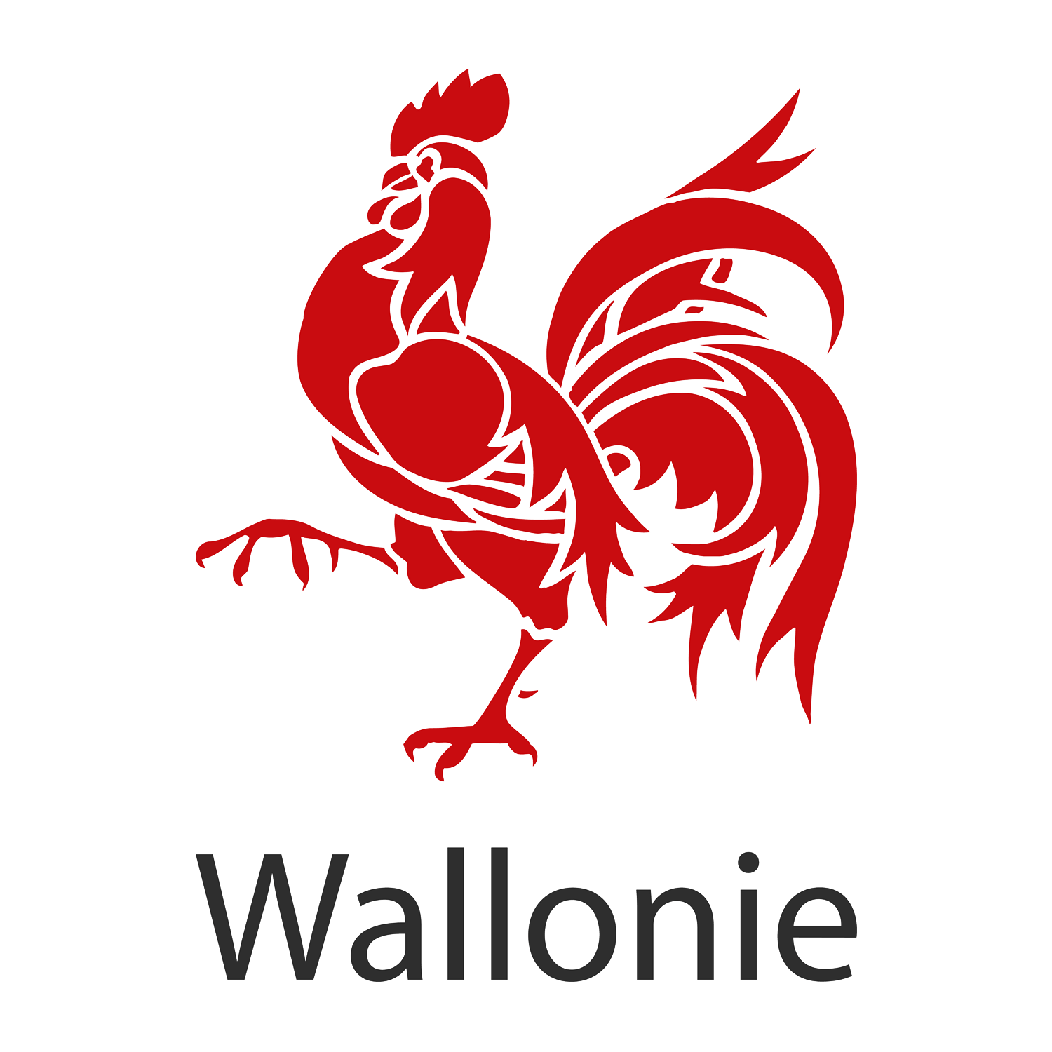 Logo Wallonie