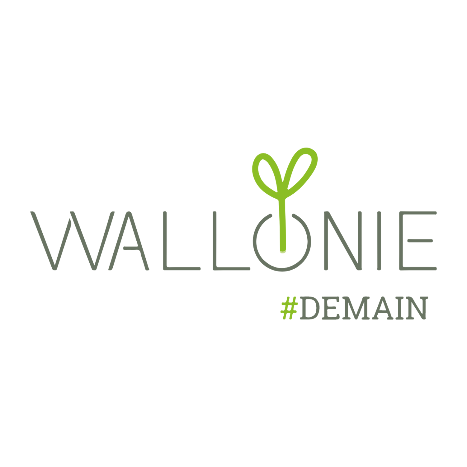 Logo Wallonie