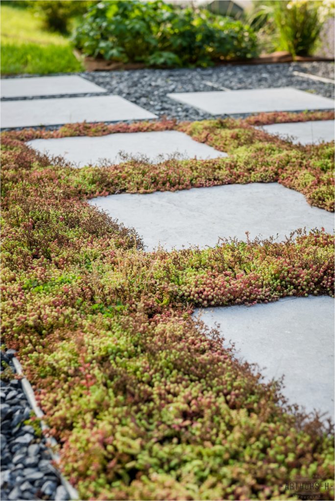 Belgium Landscaping Photo Shoot Arthurs H Photography